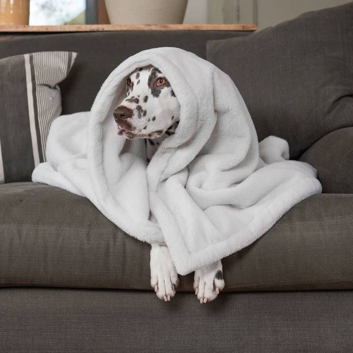 Dog & Puppy Blanket in Calming Anti-Anxiety Cream Faux Fur for wholesale on Faire0