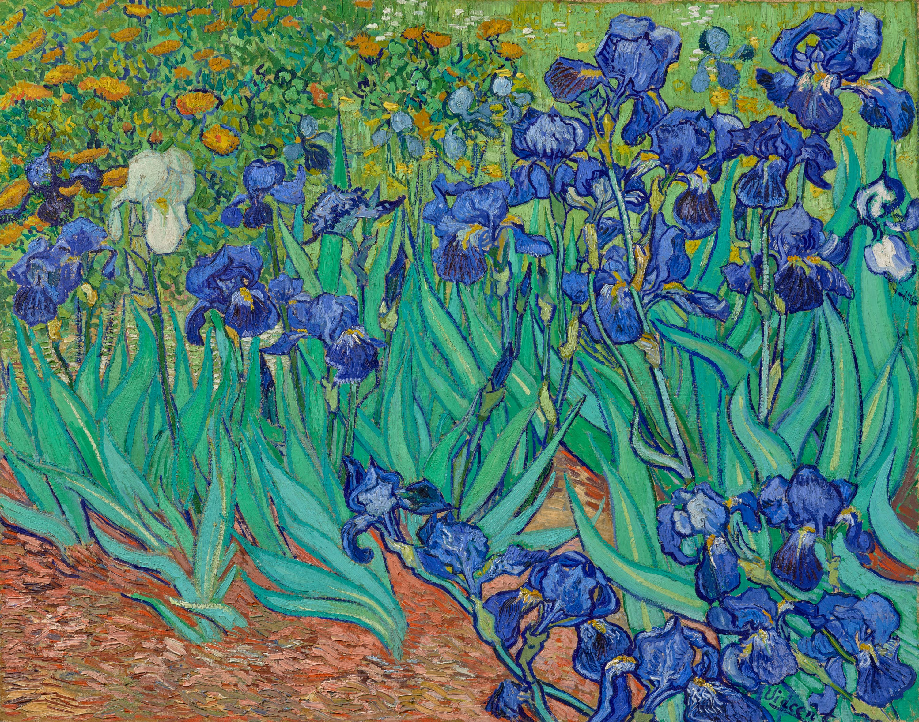 The Retrospect Group Collection – wholesale Art print – Irises, 18890