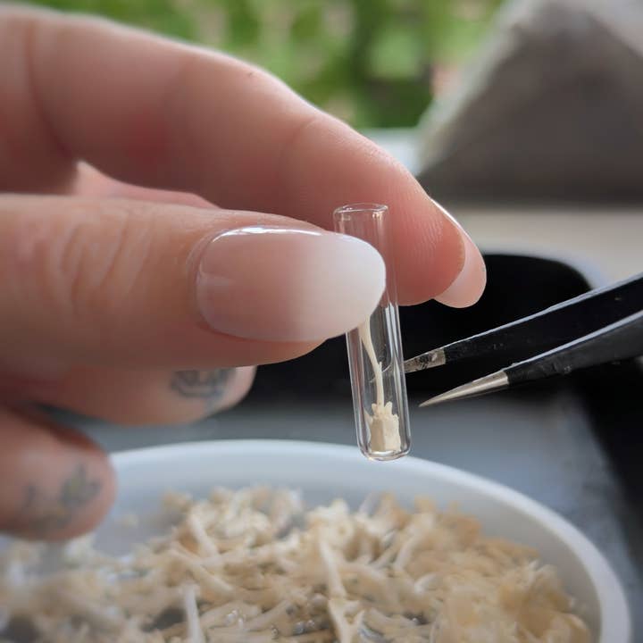 Kitty Bomb Curios - Wholesale Pendant/Charm Necklace - Bone Vial Necklaces | Oddities jewelry mini glass jar teeth7