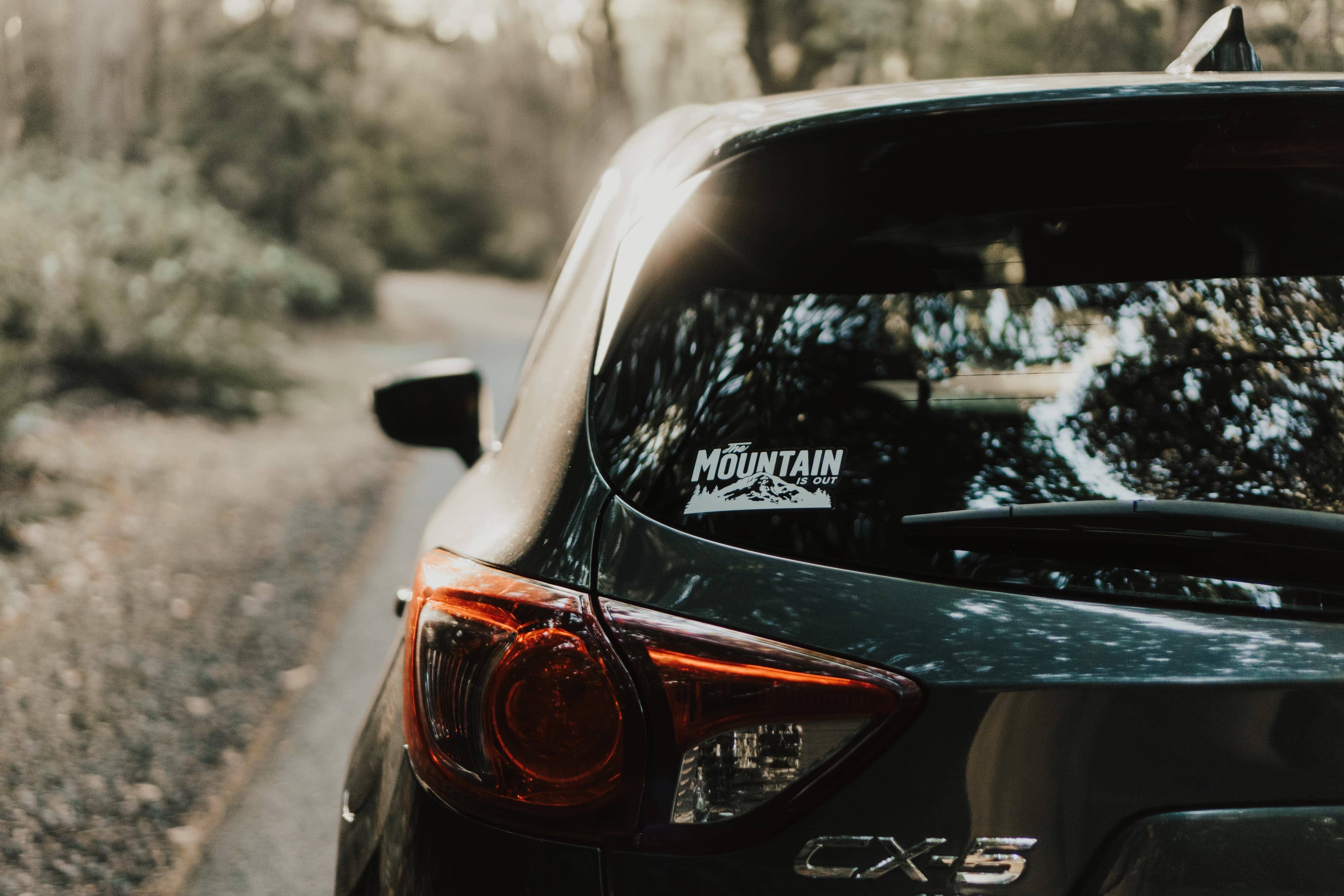 Rainier Watch Supply Co - Wholesale Sticker - The Mountain Is Out Sticker2