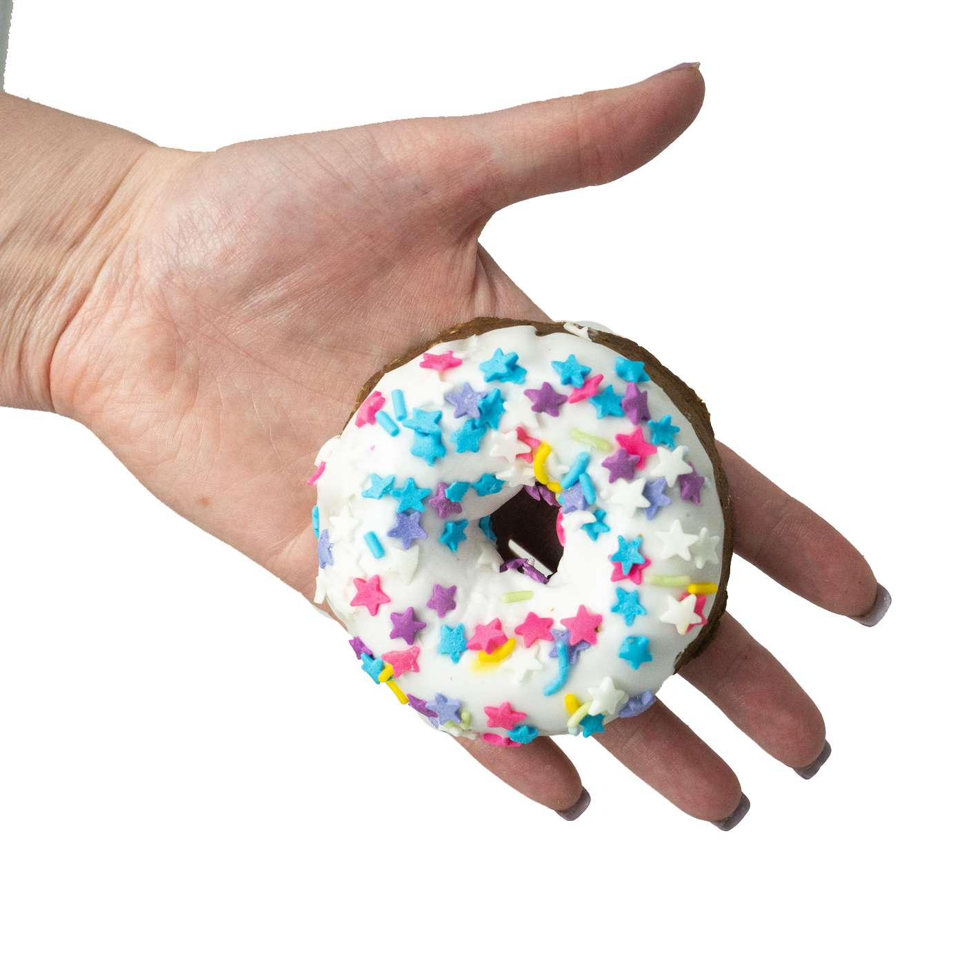 Shop The Posh Pony – Engroshandel Rideudstyr – Hjemmelavet stor festdonut2