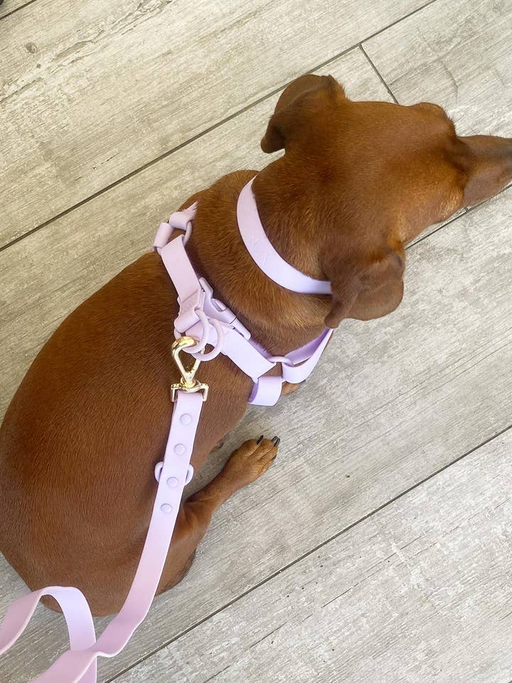 Lavender Waterproof Step-In Dog Harness for wholesale by Urbana Pet Boutique