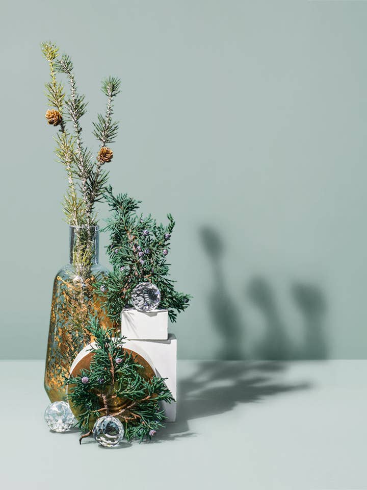 juniper fir & balsam spruce™ fragrance oil for wholesale by makesy