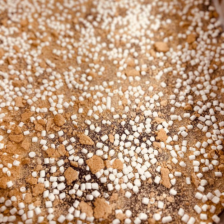 BORSA BARK - S'MORES per la vendita all'ingrosso da parte di Cacao