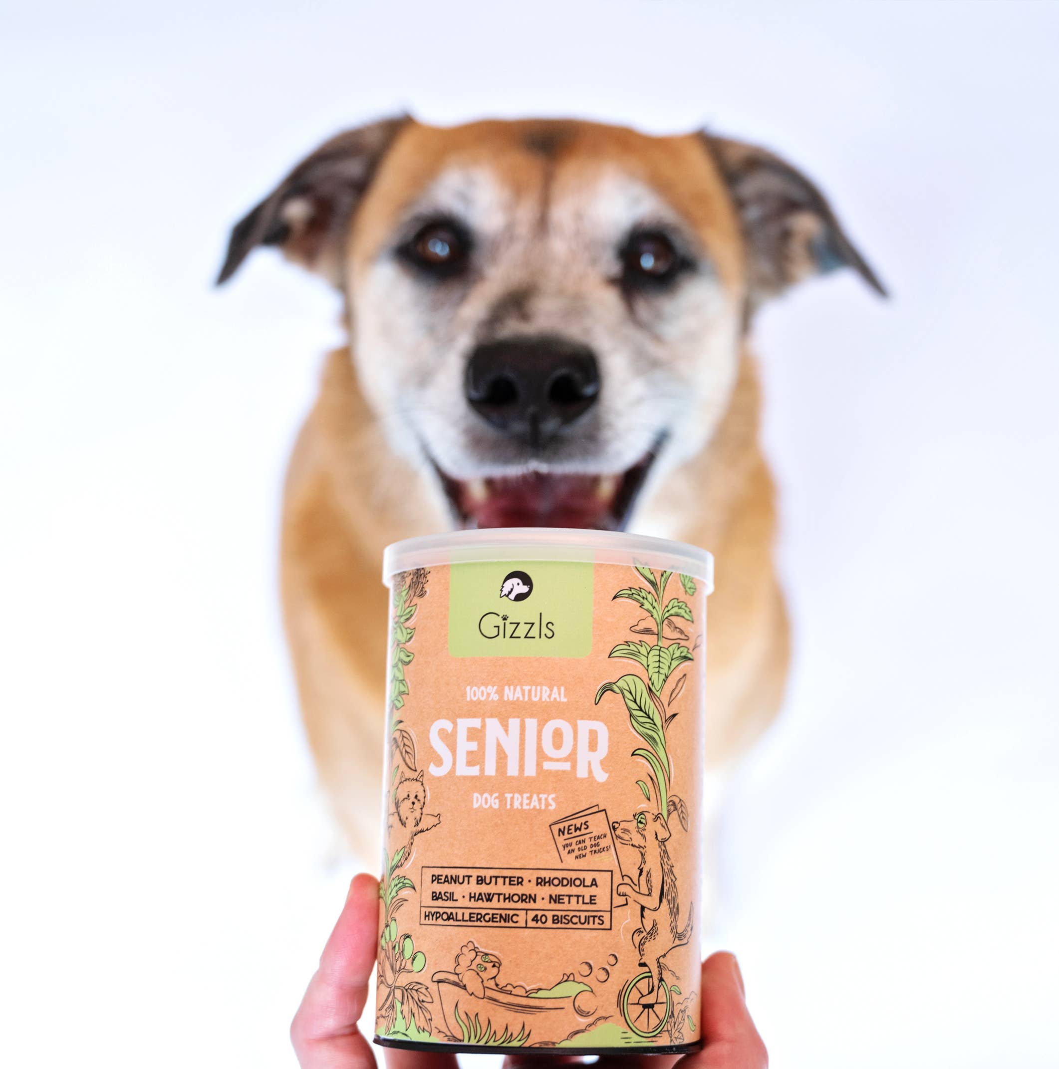 Gizzls – Engroshandel Godbid - Hund – Gizzls 100% naturlige hundegodbidder til seniorer4