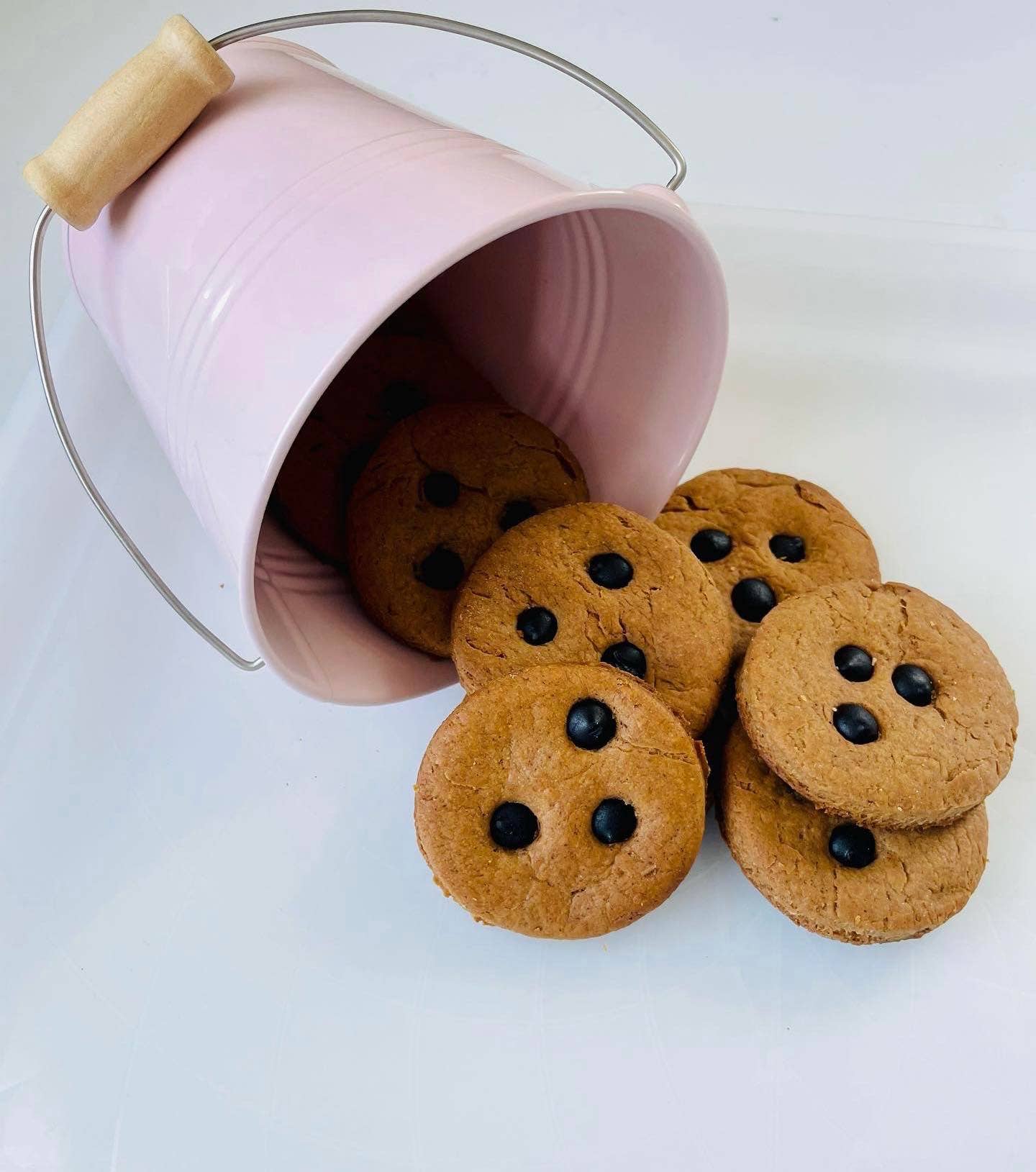 Power “Pup” Treats - Wholesale Pet Treats - Dog - Carob Chip Cookies (4 oz.)