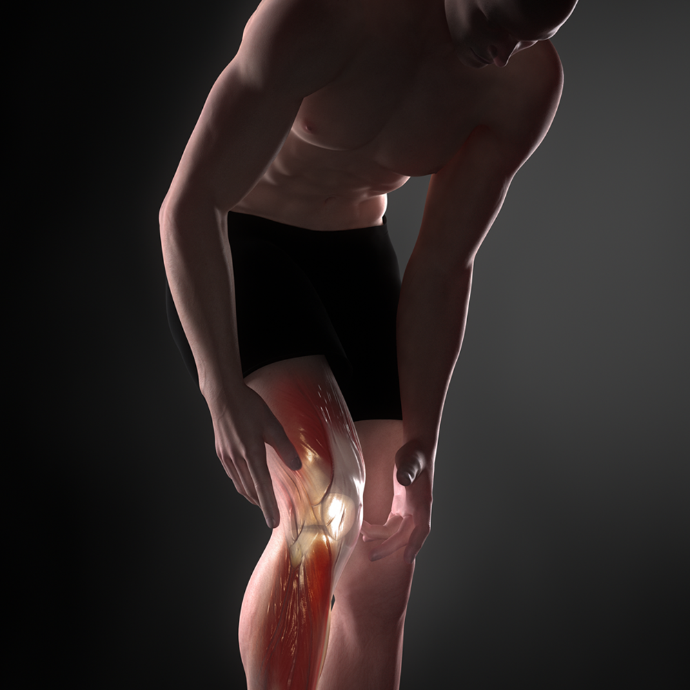 My Wholesale Warehouse - Wholesale Knee Sleeve - Generise Adjustable Knee Brace1