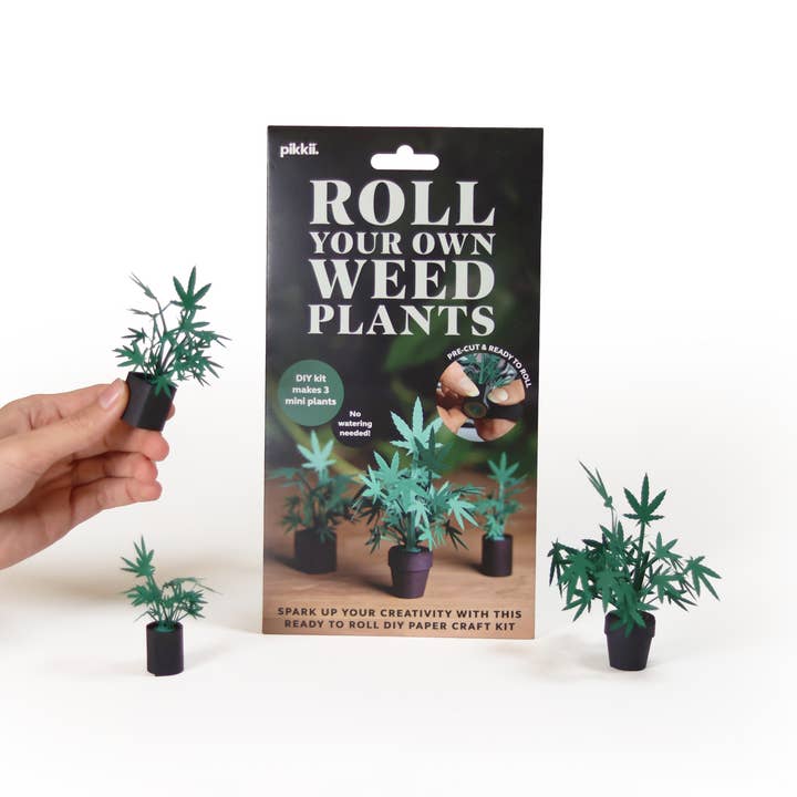 Coltiva le Tue Piante di Erba | Kit Fai-da-Te per Piante di Carta | Regalo Divertente per la vendita all'ingrosso da parte di Pikkii