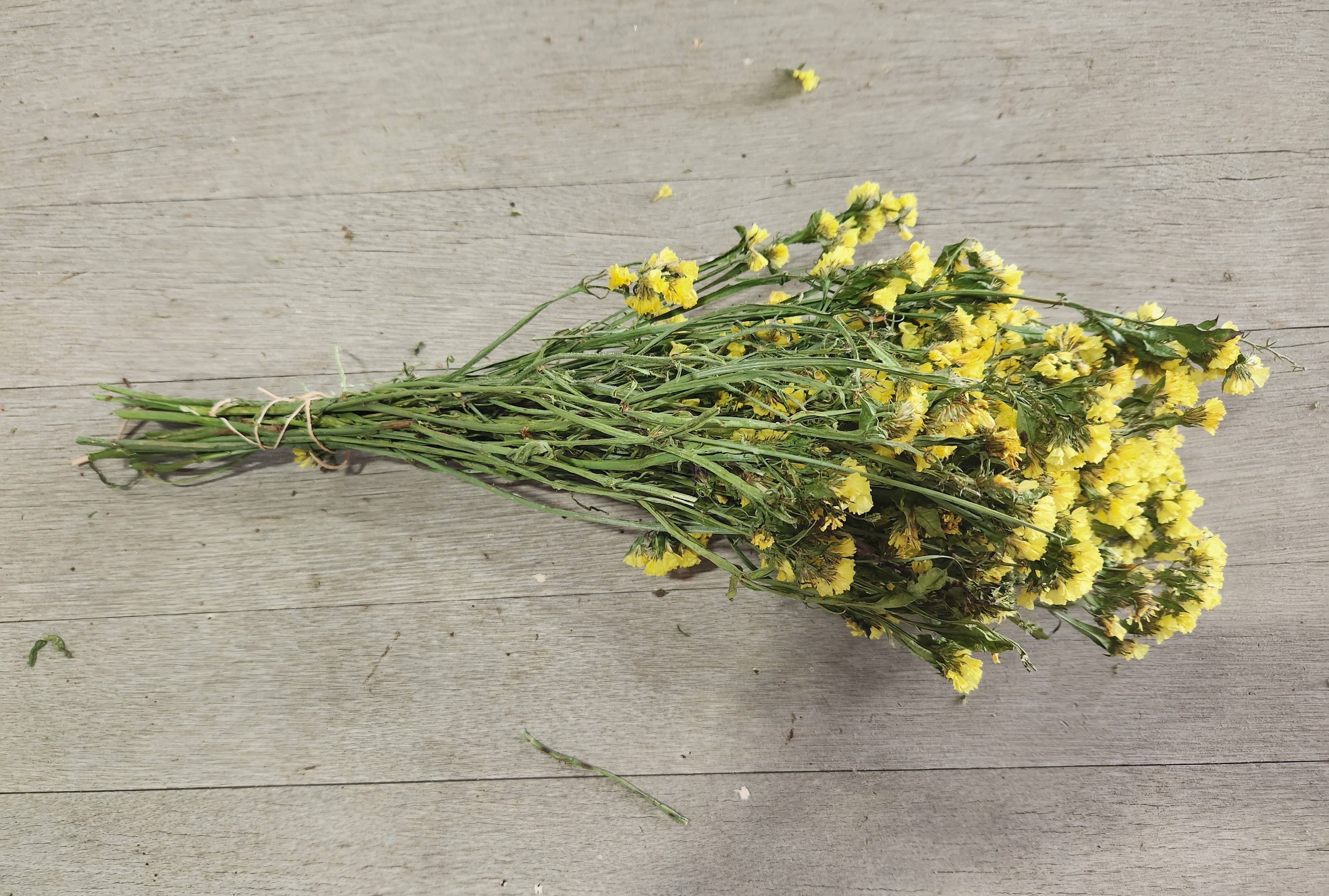 Alissas Flower Farm - Wholesale Dried/Pressed Flowers - Dried Statice1