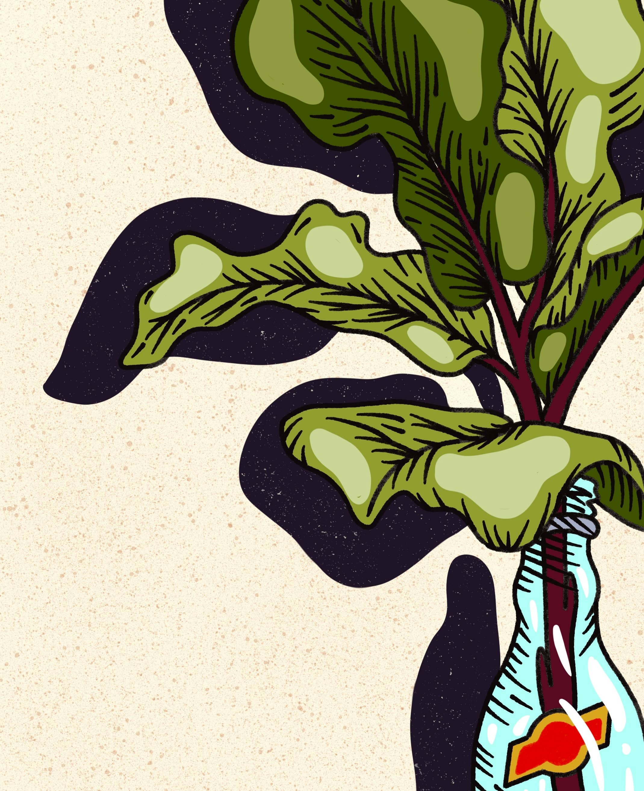 Howdy Studio - Vente Affiche d'art - Bouteille Topo Chico1