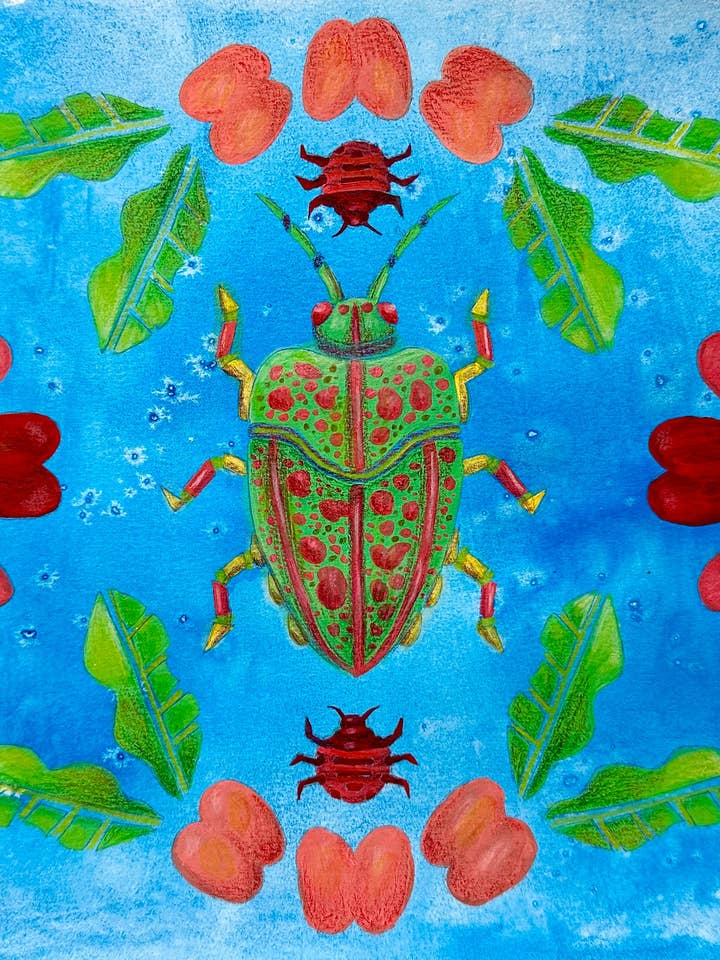 Koa Bug & ʻAʻaliʻi Print for wholesale by B. Miyo Art