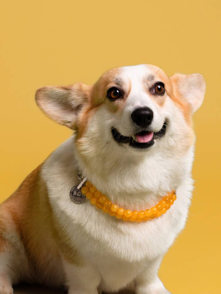 ZWEIREIHIGE PERLENKETTE für den Großhandel von BAND OF HEARTBREAKERS