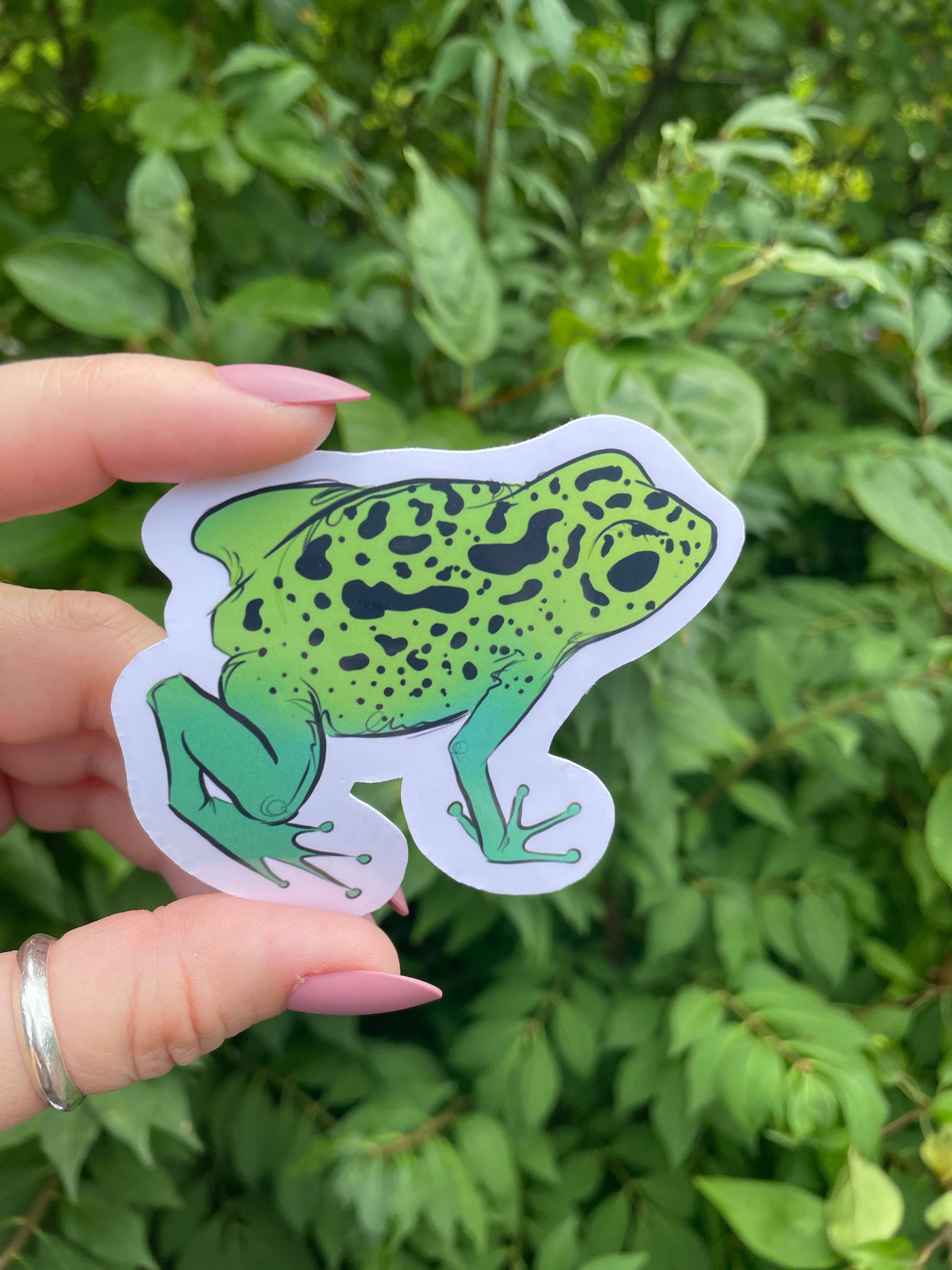 A Dresser Drawer - Wholesale Sticker - Poison Dart Frog Sticker3