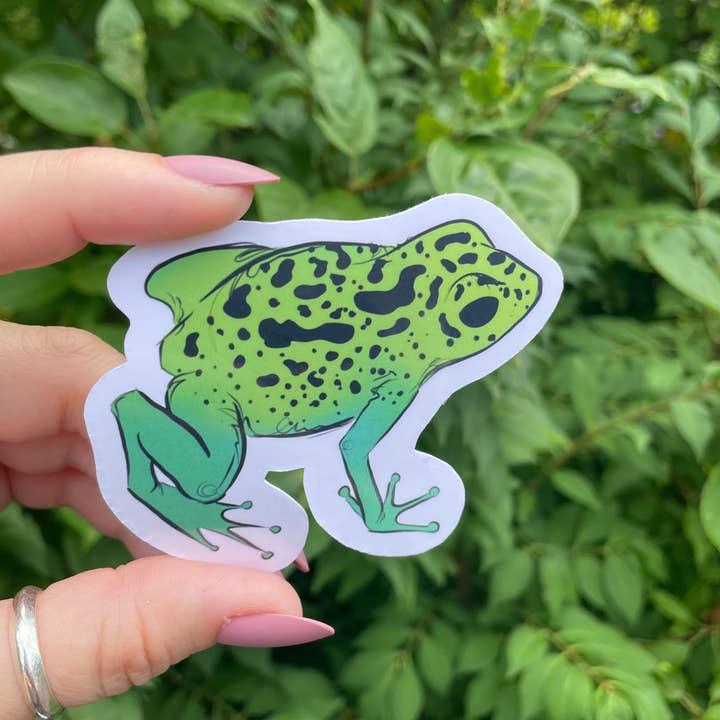 A Dresser Drawer - Wholesale Sticker - Poison Dart Frog Sticker3