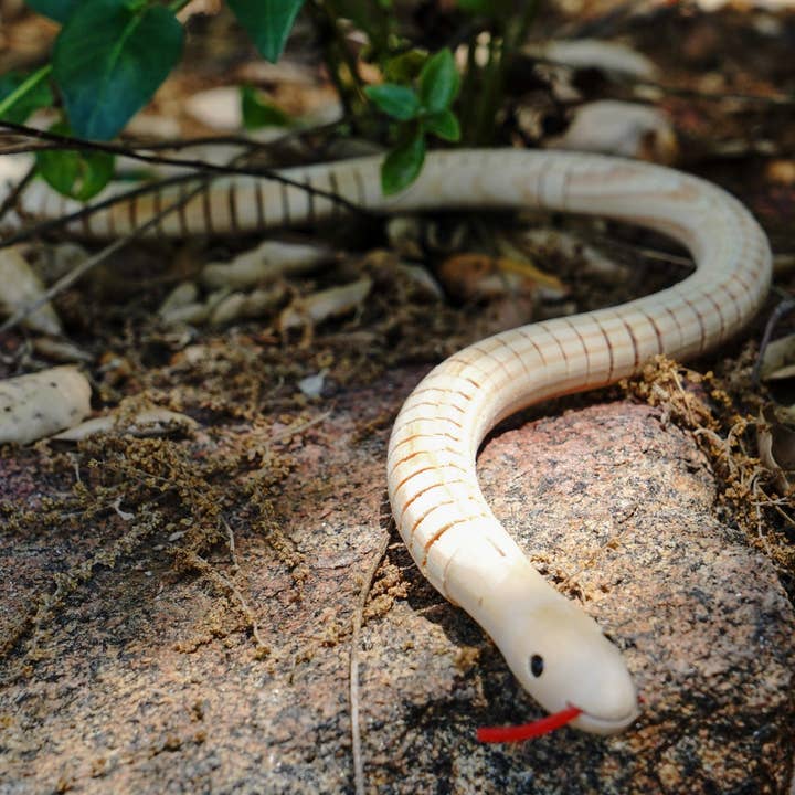 Backwoods Provisions - Wholesale Wood Toy - Kids - Set of 10 Wooden Snakes - Unpainted