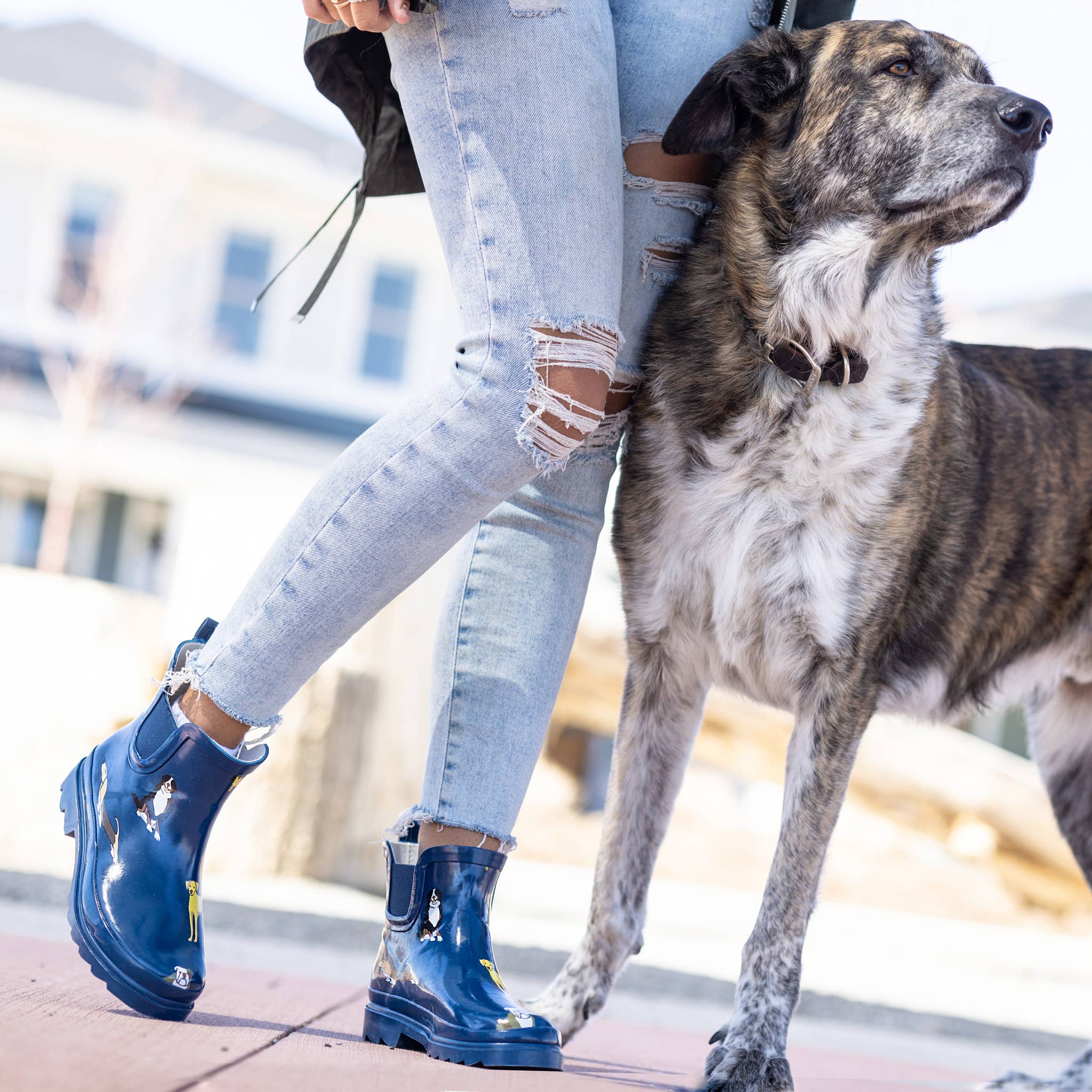 Eastern Off Price – wholesale Rain boots – Women’s – NORTY Womens 6" Ankle Rain Boots 39973 Matte Charcoal6