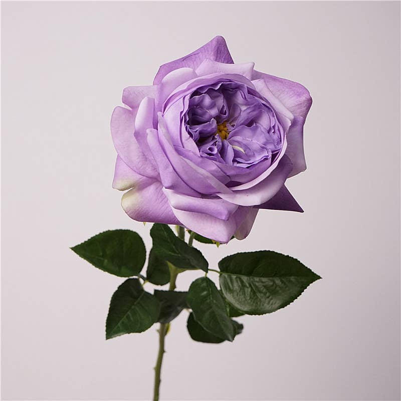 Sweet Home Deco - Wholesale Artificial Flowers - 26‘’T Real Touch Juliet Blooming Rose Spray, Spring Roses9
