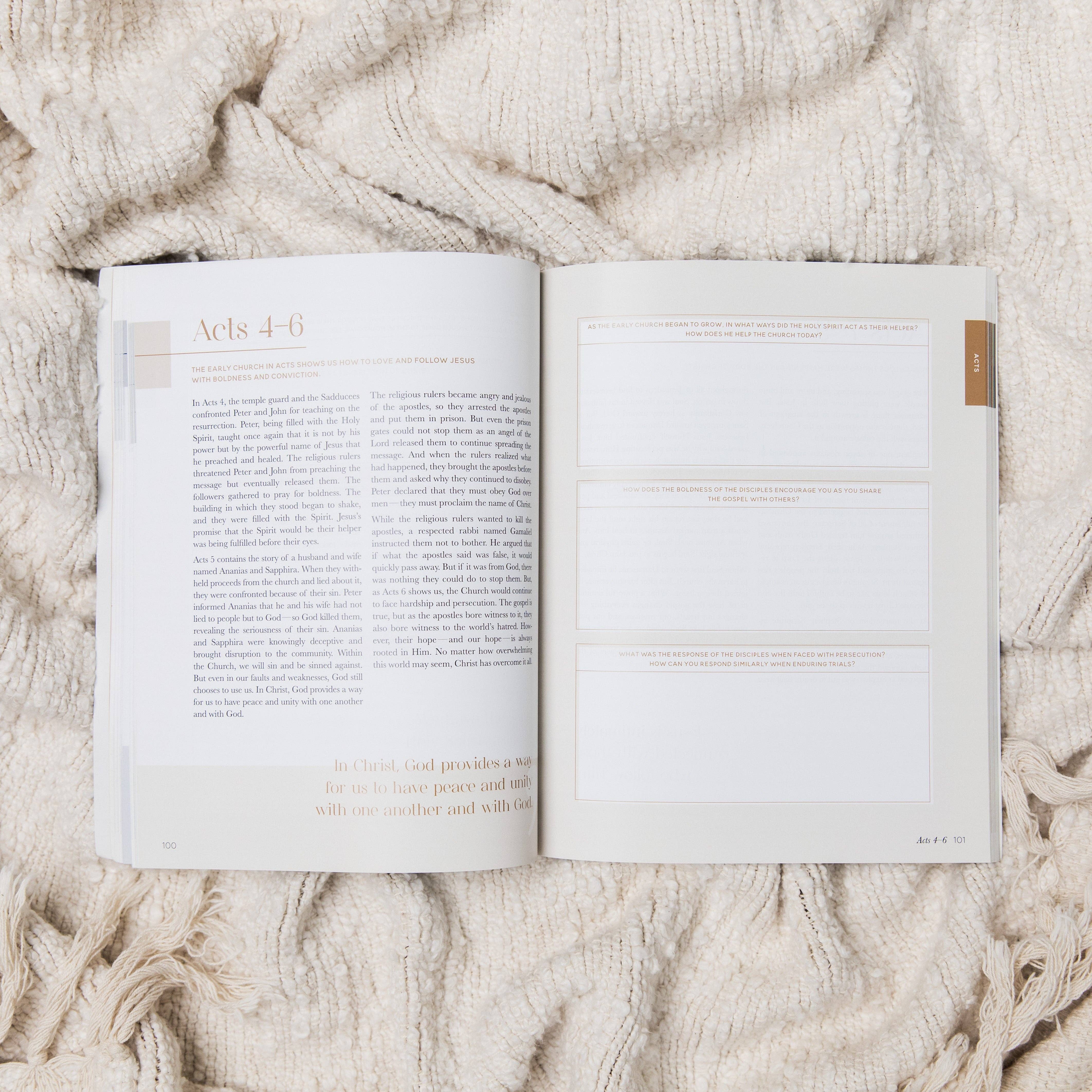 The Daily Grace Co - Wholesale Religion - Eden to Eternity | The Chronological Story of Scripture | Volume 41