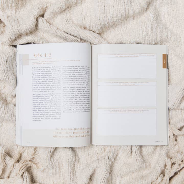 The Daily Grace Co - Wholesale Religion - Eden to Eternity | The Chronological Story of Scripture | Volume 41