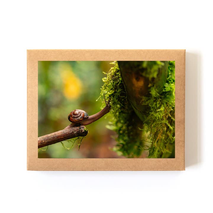 "Take the Plunge" Card Boxed Set (8 Cards + Envelopes) for wholesale by Andrea Morris Photography