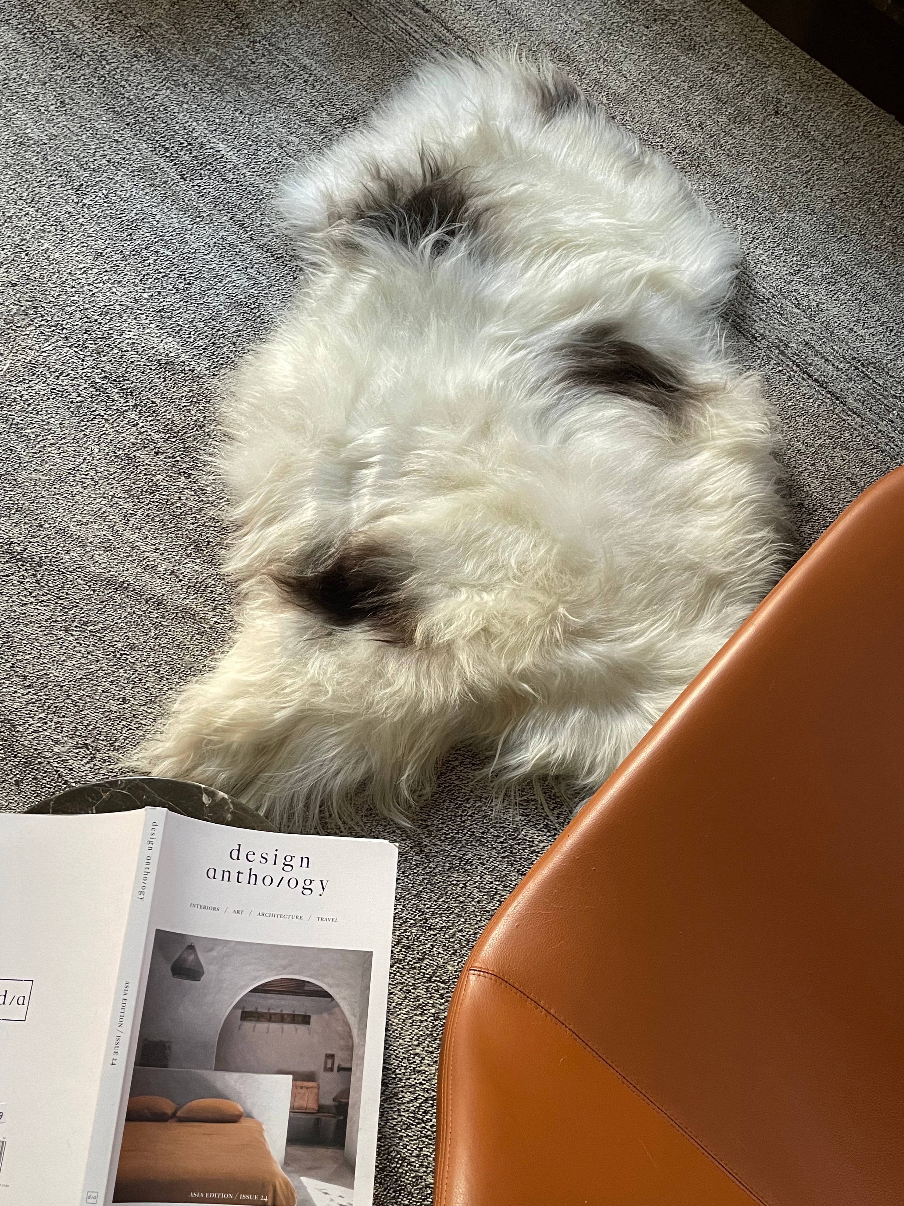 Black Sheep (White Light) - Wholesale Area Rug - Spotted Icelandic Sheepskin Throw Rug | Minimal2