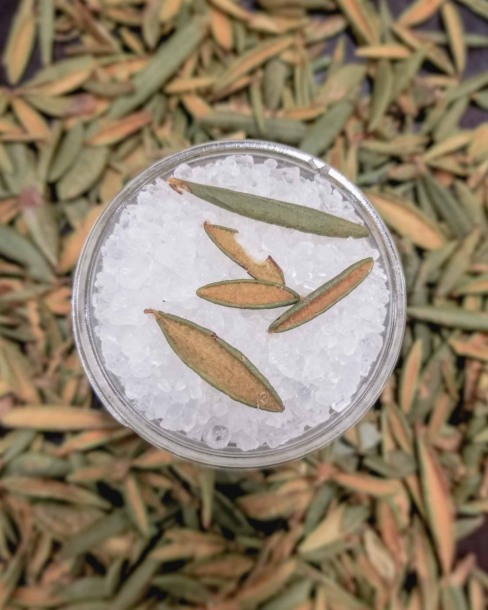 Wildwood Creek - Wholesale Bath Salts - Woodland Grounding Mini Natural Spa Bath Soak | Vegan1