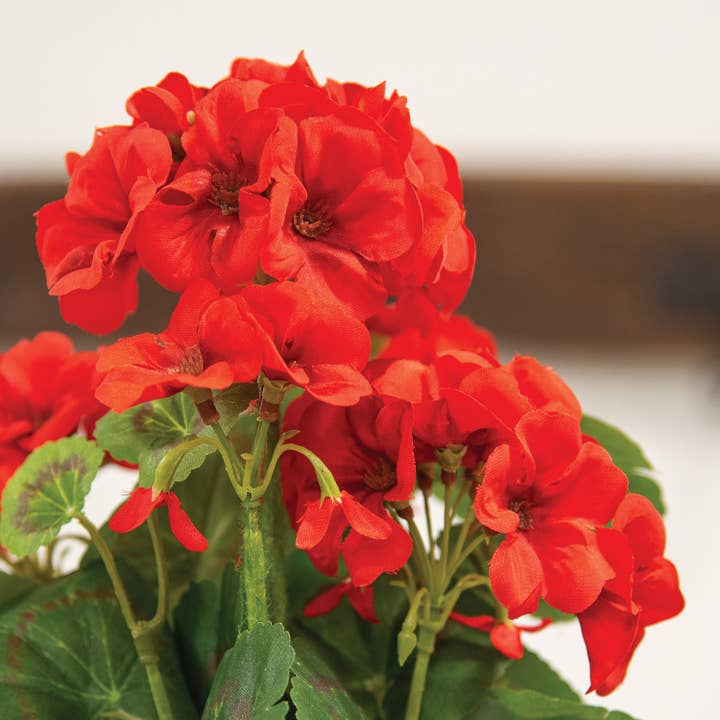 Saybrook Lane - Wholesale Artificial Flowers - Mini Red Geranium Bush - 12.5"