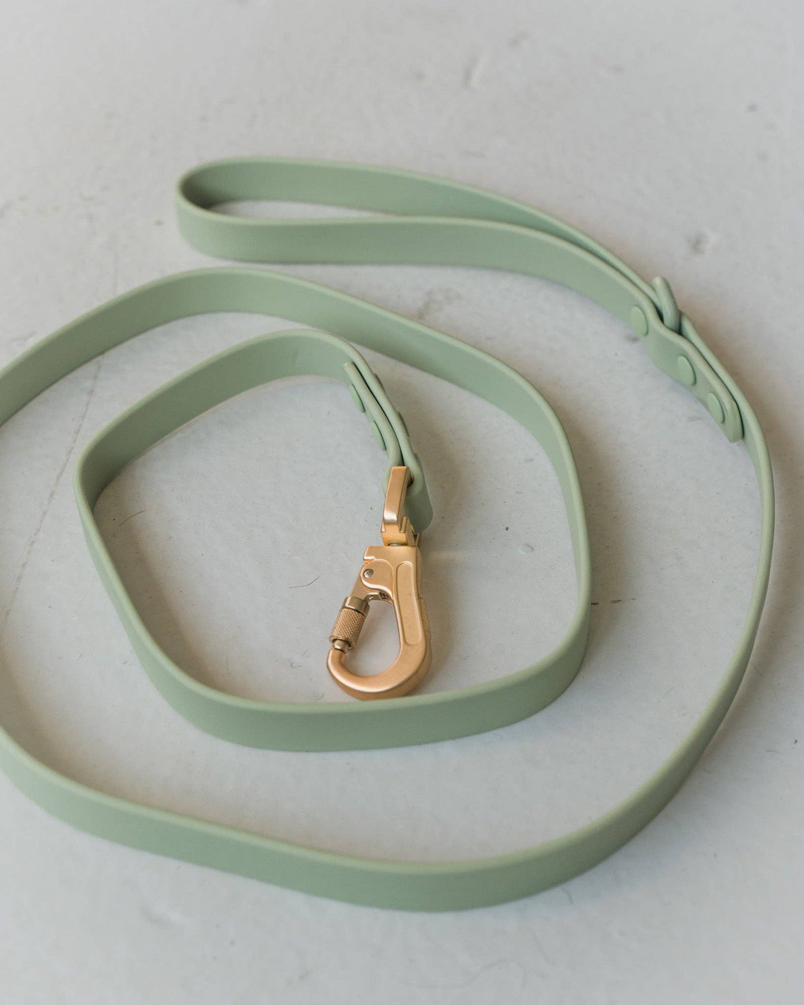 dexypaws – trela - Cão por atacado – Guia impermeável para cães em verde sálvia5