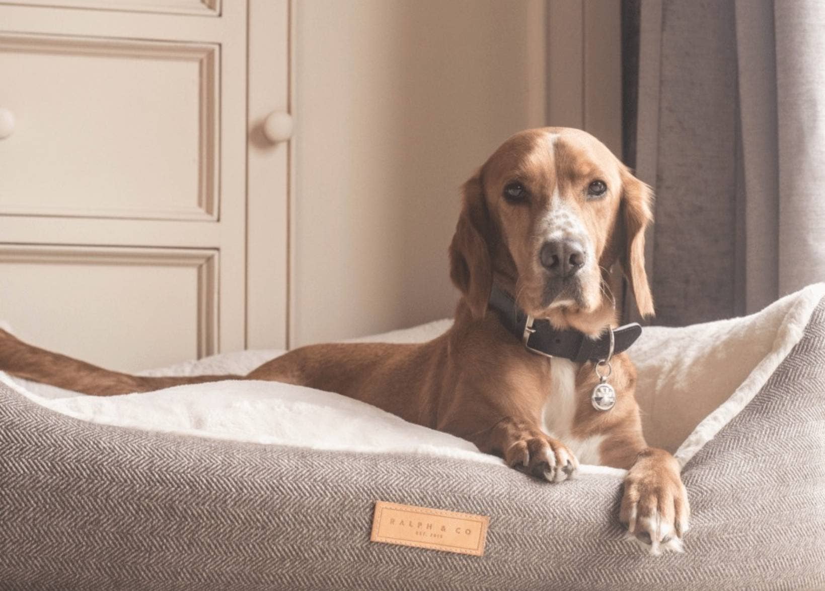 Ralph & Co – wholesale Pet bed – Dog – Luxury Tweed Dog Bed With Removable Covers | Lincoln1