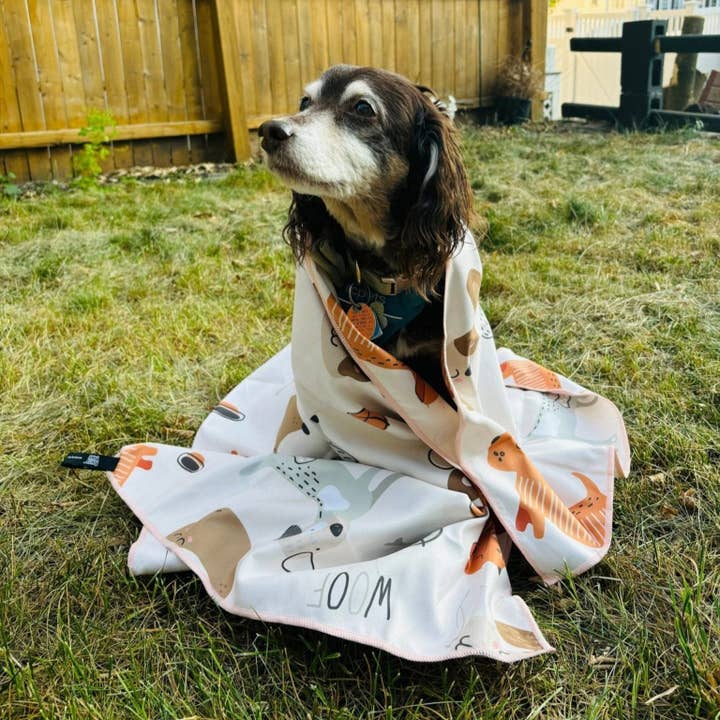 Pouty Paws - Venta al por mayor Toalla para mascotas - Perros - Toalla Grande para Perros de Microfibra Súper Absorbente