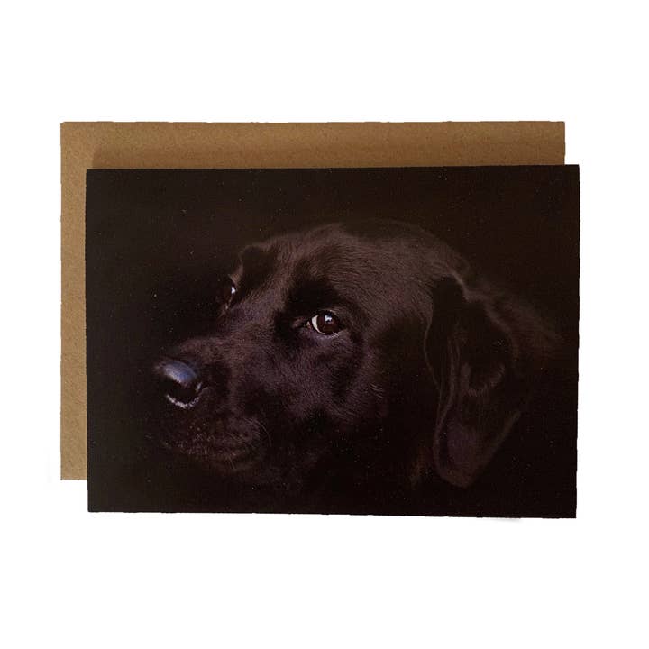 Biglietto di auguri con Labrador nero - Biglietto con Labrador per la vendita all'ingrosso da parte di Alex Sharp