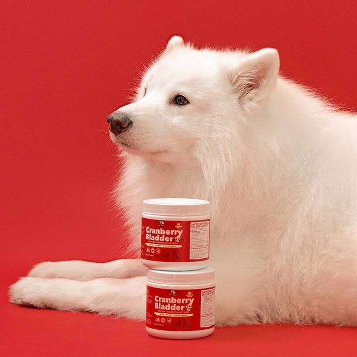 Petpal - Vente Compléments alimentaires – chien - Friandises douces à mâcher à la vessie aux canneberges pour chiens - Complément pour animaux de compagnie