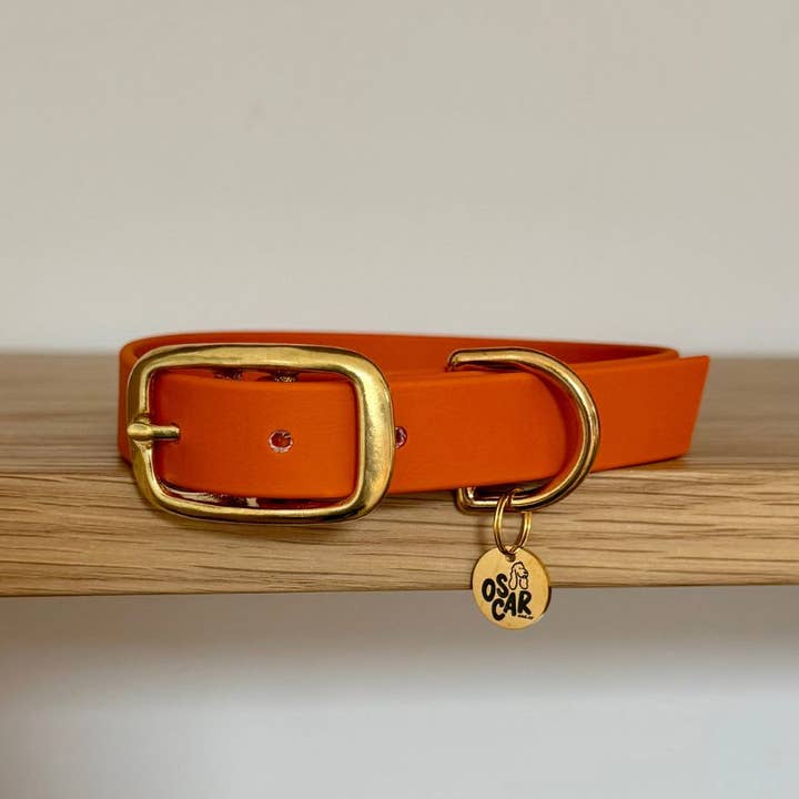 Oscar & co - Wholesale Pet Collar - Dog - Orange waterproof Biothane dog collar4