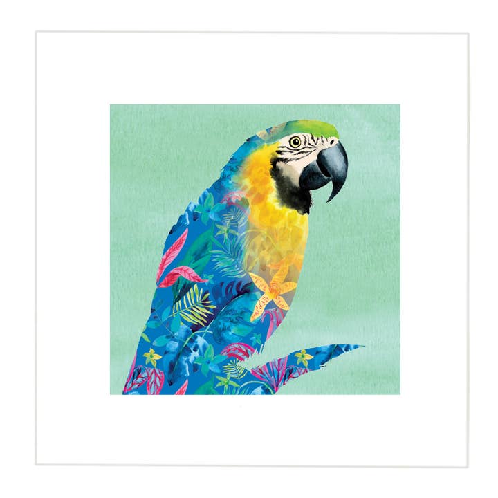 Parrot Print - Smaller Image - Larger Border at 5cm for wholesale by Twizler Ltd