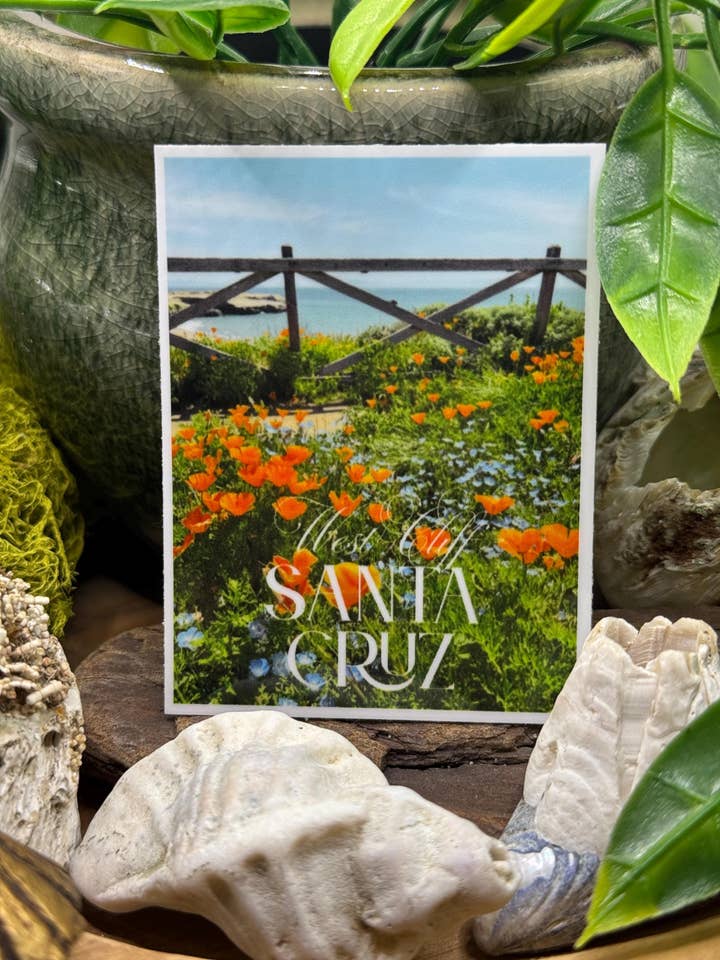 Santa Cruz California Poppy West Cliff Beach Decal for wholesale by California Dreaming Co