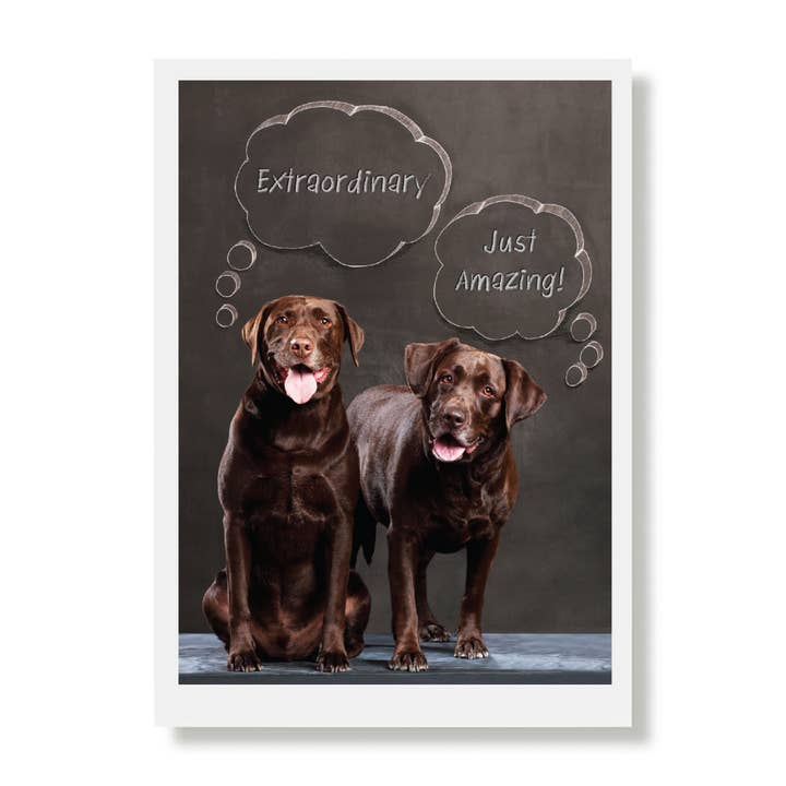 Sadie and Ranger Thank You Greeting Card for wholesale by Hooray for the Underdog!