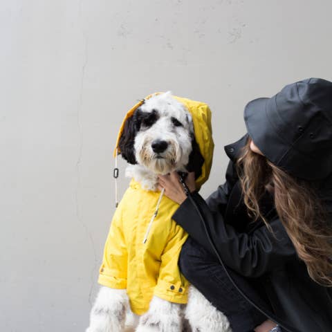 maxbone - Wholesale Pet Raincoat - Dog - Talon Raincoat for Dogs5
