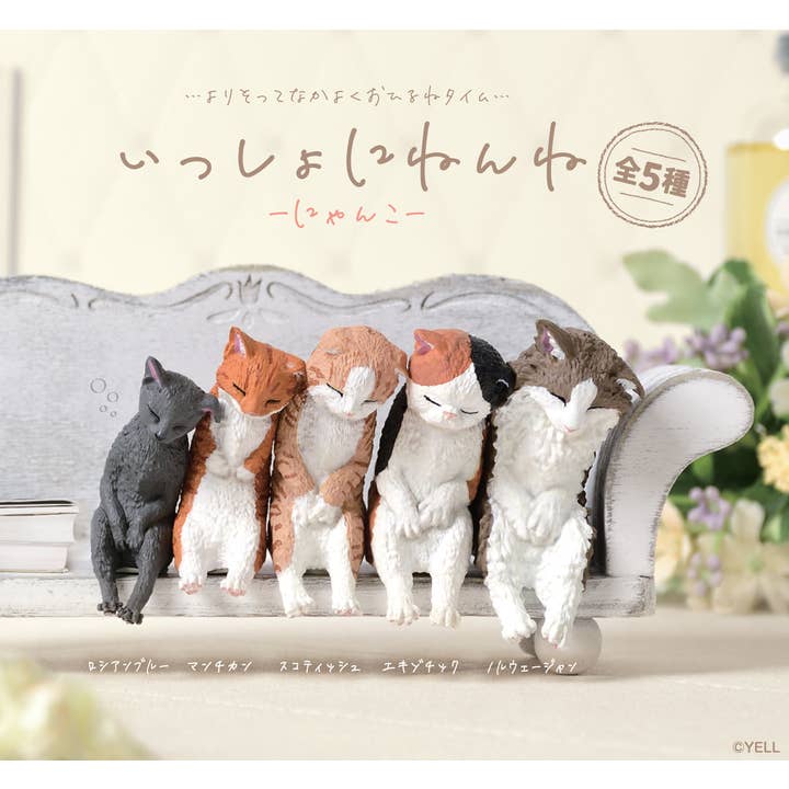 【JAPANESE BLIND BOX】LET'S SLEEP CAT BLIND BOX for wholesale by Hakubundo