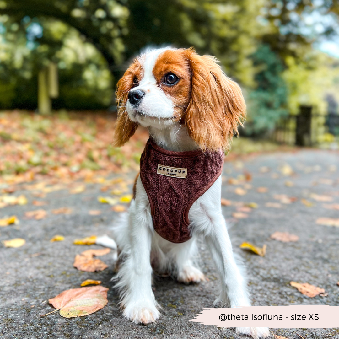 Cocopup London - Vente Harnais – chien - Harnais à col réglable en tricot torsadé couleur chocolat - Hot Coco12