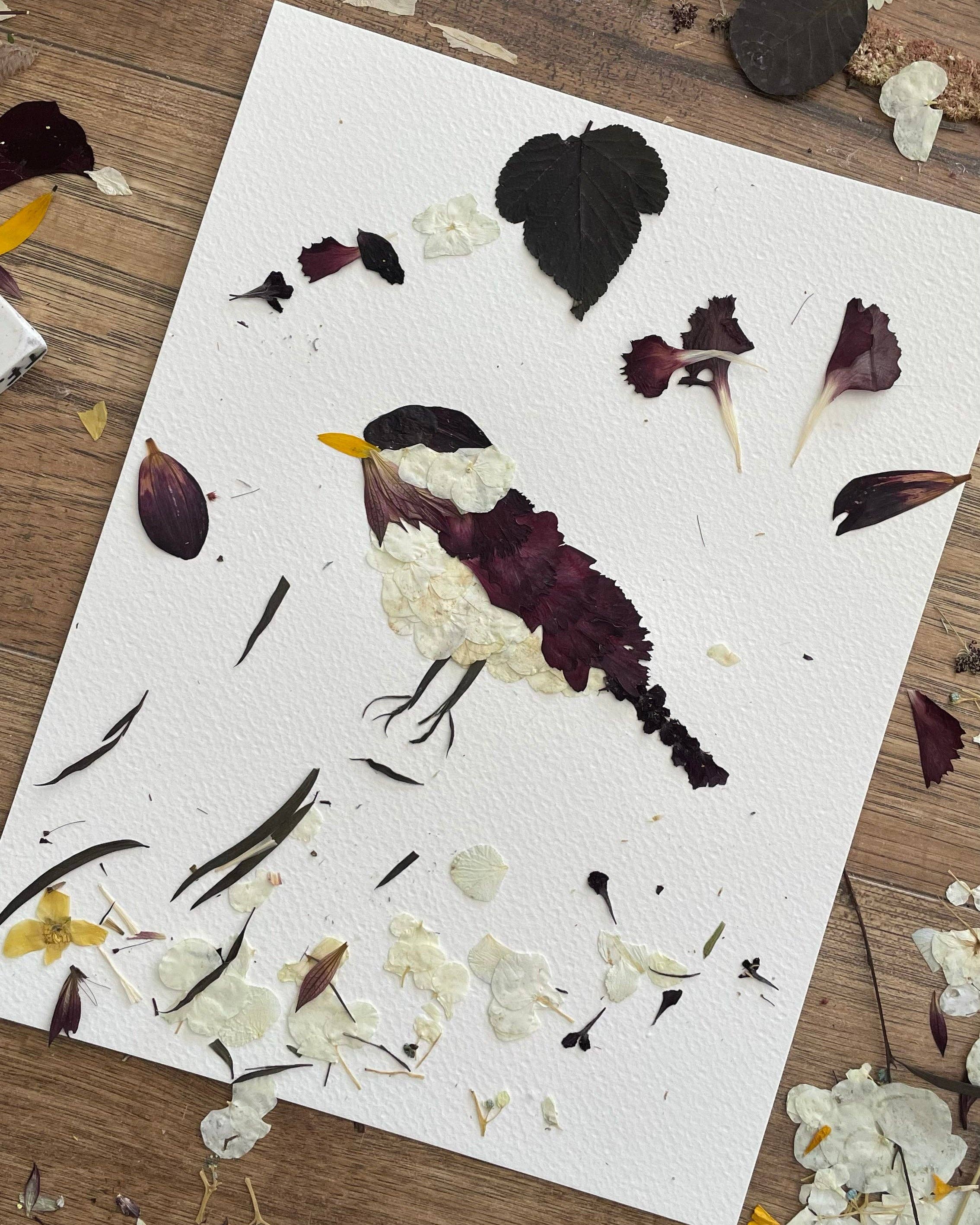 Seek & Bloom Creative Co. - Vente Affiche d'art - Impression de fleurs pressées - Mésanges2