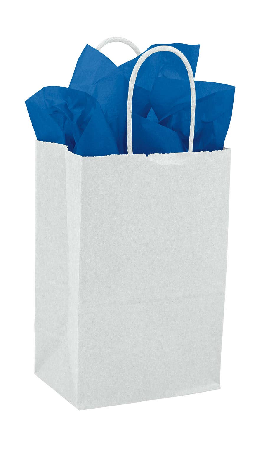 Store Supply Warehouse - Wholesale Gift Bag - Kraft Paper Shopping Bags9