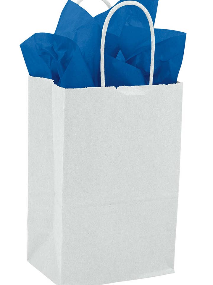 Small White Kraft Paper Shopping Bags - Case of 25 for wholesale by Store Supply Warehouse