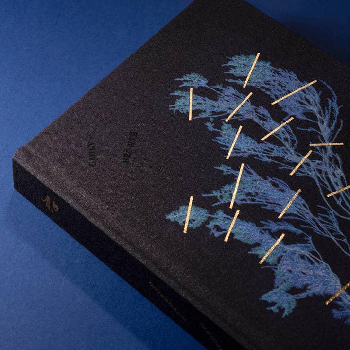 Aatos Editions - Wholesale Classics - Wuthering Heights1