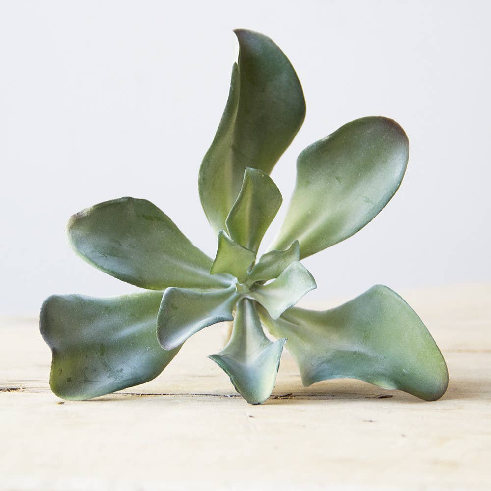 Chive - Wholesale Artificial Plant - Faux Succulent Terrarium Kit | Boho Home Decor Gift  SALE5