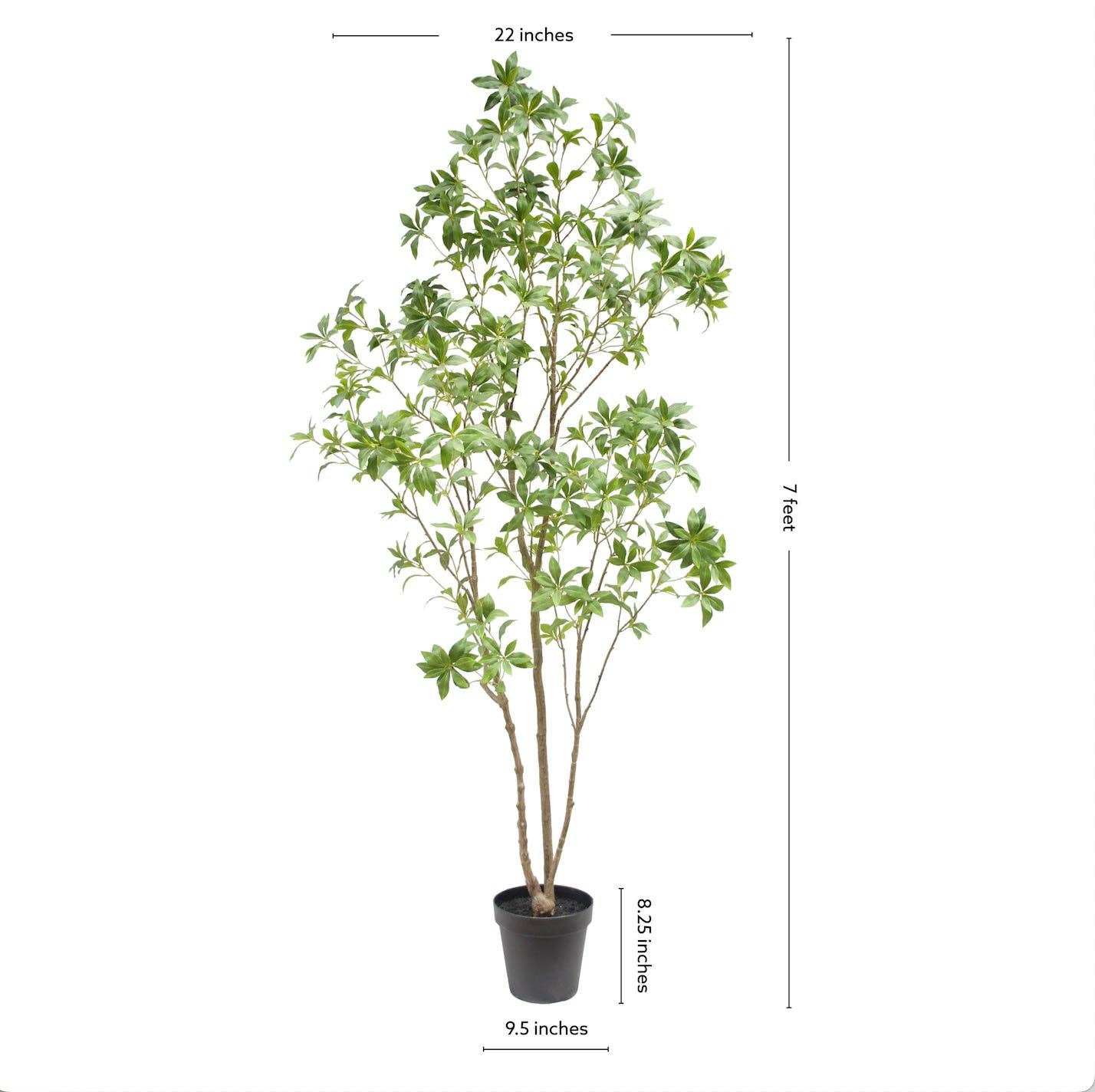CG Hunter - Wholesale Artificial Plant - 7' Artificial Laurel Tree6