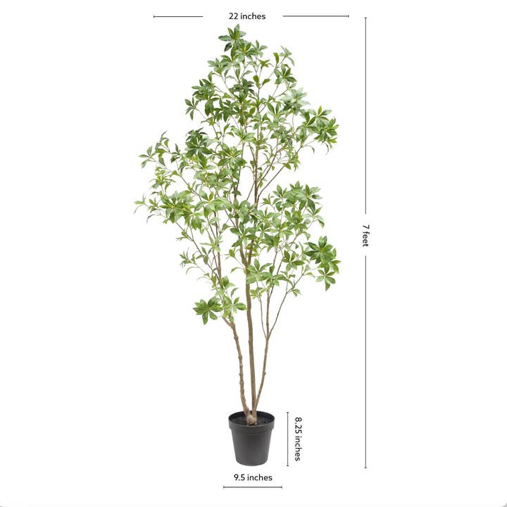 CG Hunter - Wholesale Artificial Plant - 7' Artificial Laurel Tree6