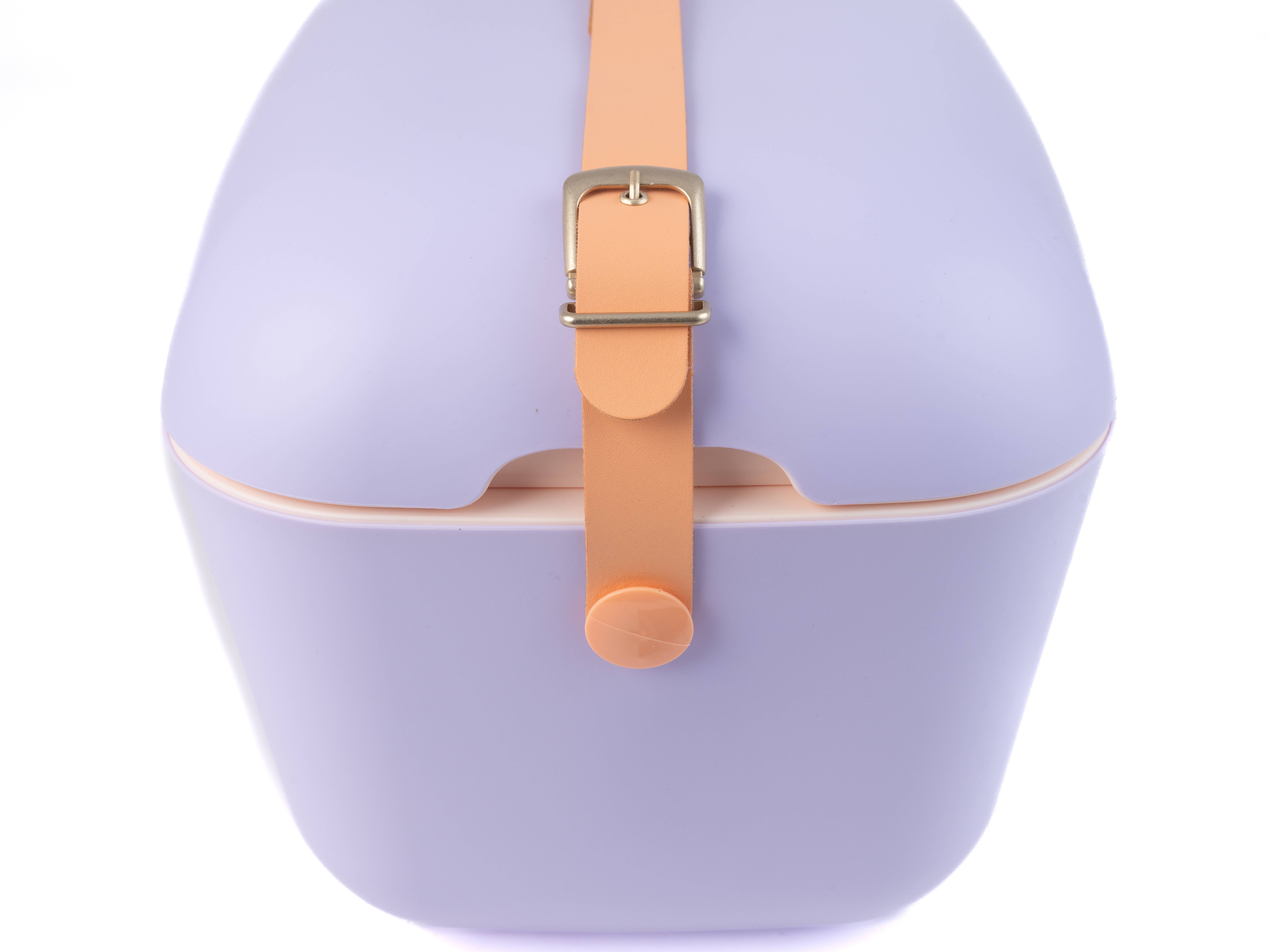 Schäfer Brand Distribution GmbH - Vente Glacière/sac isotherme - Glacière Polarbox 12L, pique-nique de plage, été, rétro18