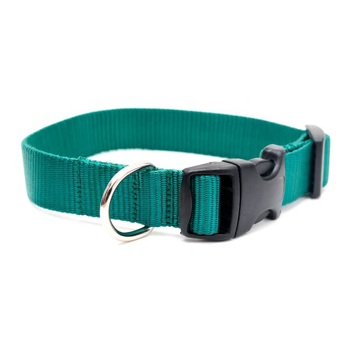 Mimi Green - Wholesale Pet Collar - Dog - Nylon Webbing Dog Collars - 27 Colors!13