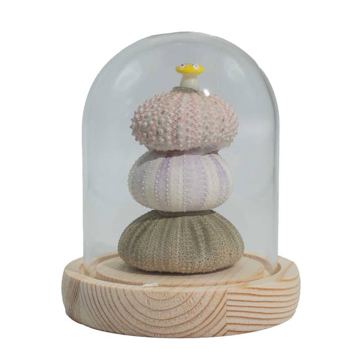 Dôme de Jardin Floral Lumineux - 3 oursins - LED USB pour la vente par AW Artisan