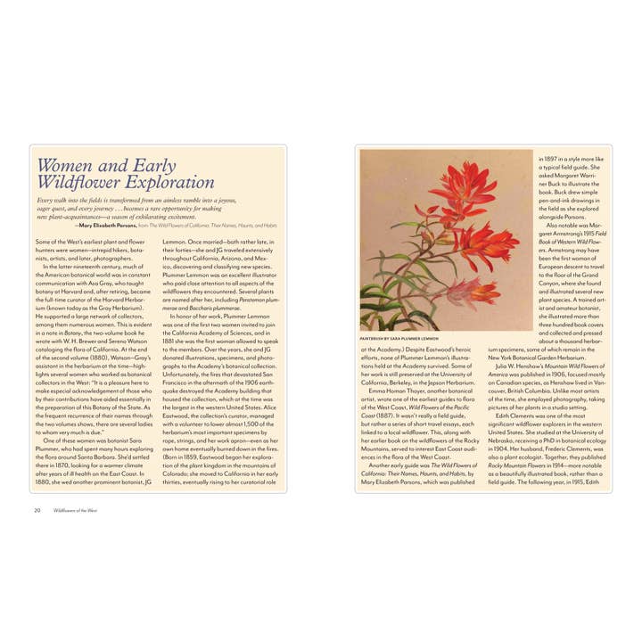 Mountaineers Books - Wholesale Nature & Outdoors - Wildflowers of the West2